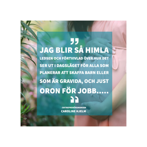 momtrepreneur , kvinnligt entreprenörskap